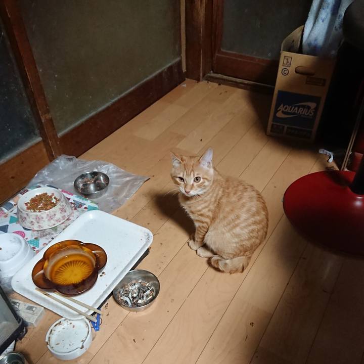 5f3f90fb 6d54 4a95 8848 3a0976bfa25c 1636143575260