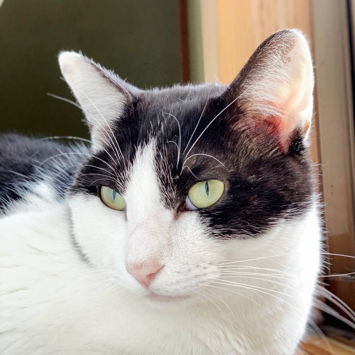 5f3f9cbe df2f 4fb1 ba76 587d9fb3e649 1552701210850