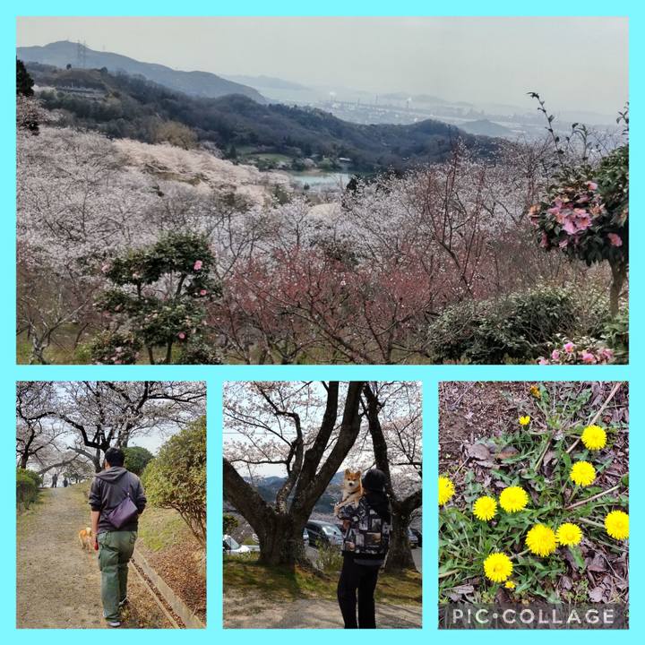 5f3fbec8 5154 47f7 a40e fd7d1af3fb26 1743770117506