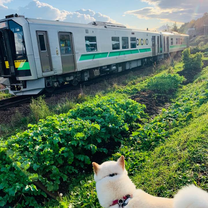 5f404a37 0251 4a6c 8895 323db413f0b2 1602719126511