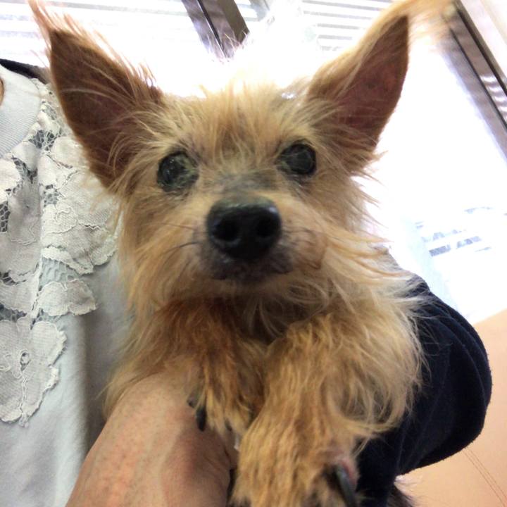 5f404ecb 38d7 490a bf43 70e7cf773a8b 1537149766770