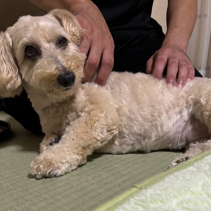 5f4051bb 41e2 4dd6 9c47 78afac7c01ae 1762050619170