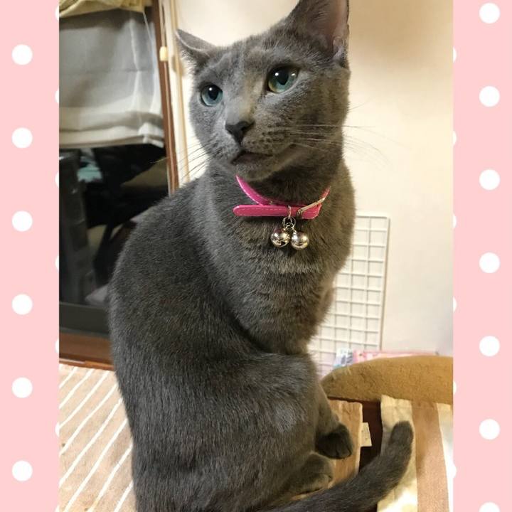 5f406cea d953 453f 8969 9460d2951890 1519893324212