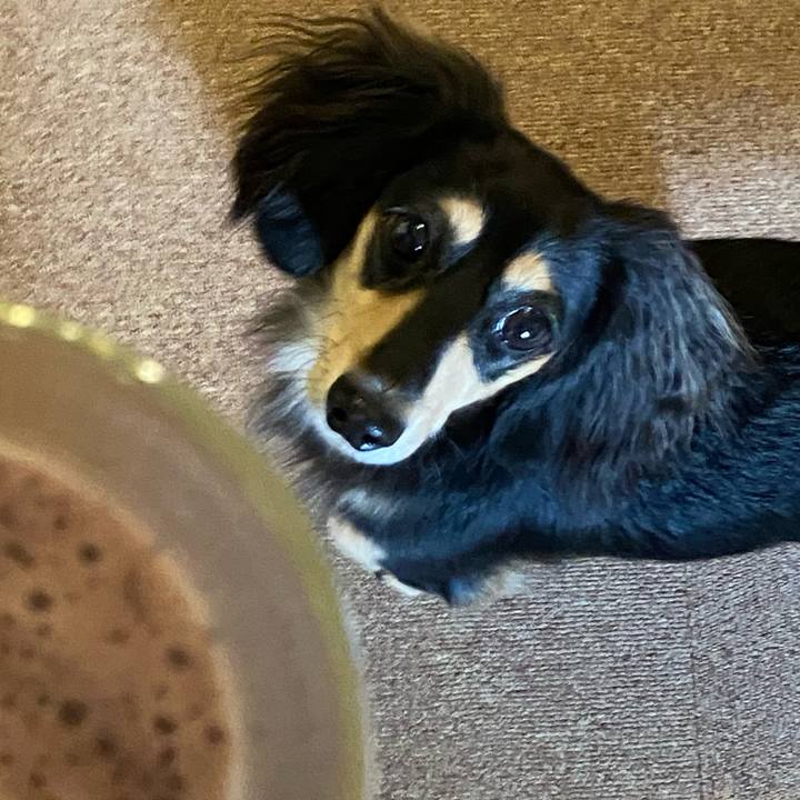 5f406e1b e681 4f66 a71e e8a1f9533c2d 1694992188312