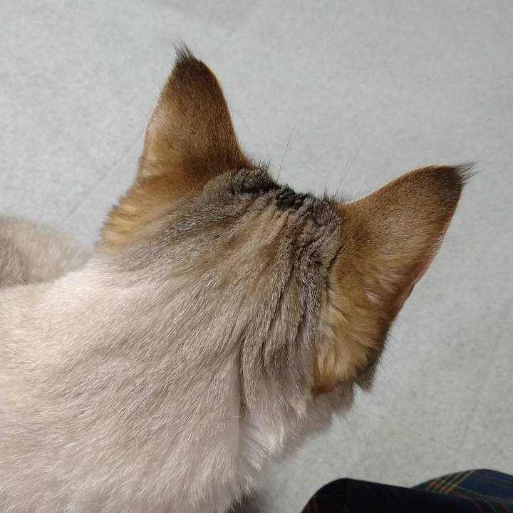 5f407e3b 7c21 4eb7 8cad 84a4b4c8da69 1622031404653