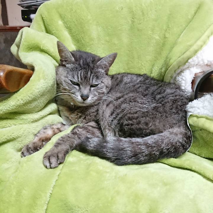 5f4092a9 5d7b 4436 8c84 ec8526356cc1 1589007198815