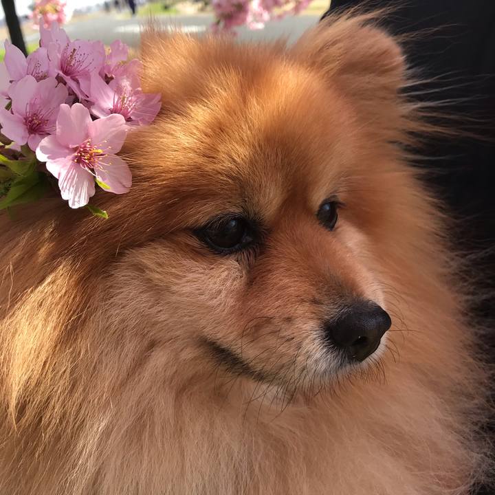 5f40952b ce2e 4e3a 9a01 a49f1f81925c 1552789824970