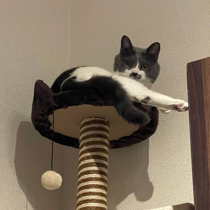 5f40aff2 b805 4f2c 9f9e fa5136c56ad7 1676027855705