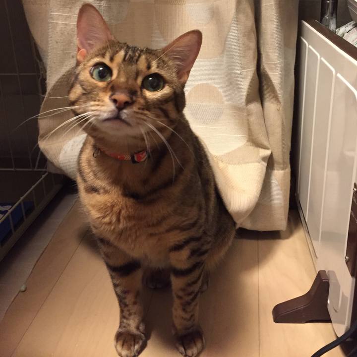 5f414bbd 5e0c 4ae3 93ea 120b76c1a0b9 1532386242652