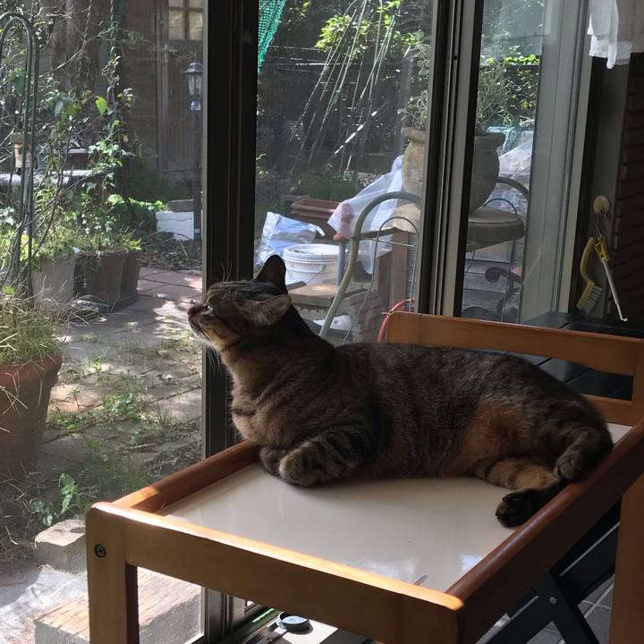 5f415447 287b 4319 9a15 745bfddb728f 1602502316751