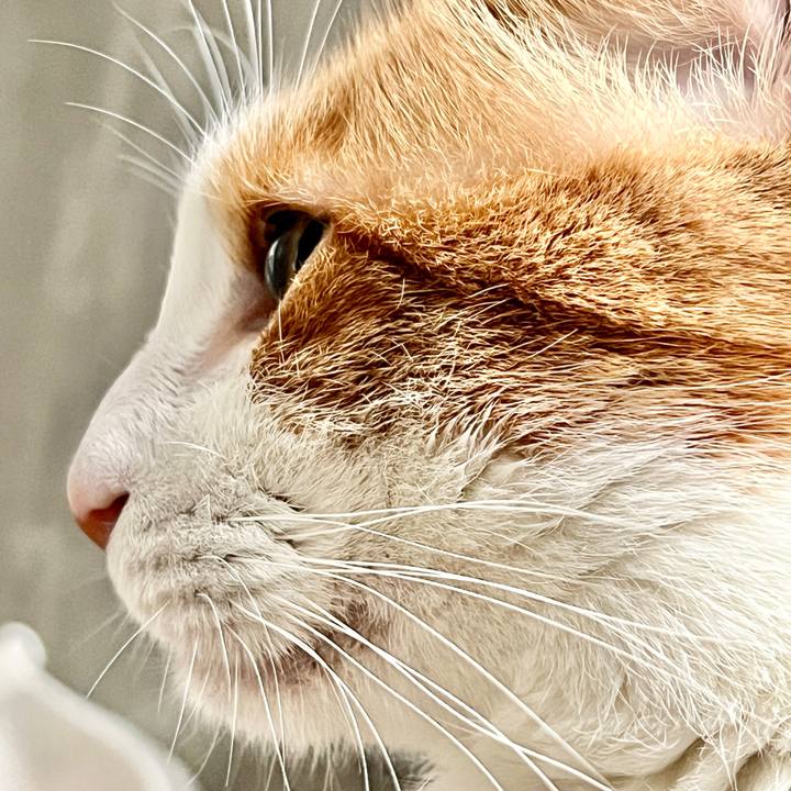 5f415644 46c1 4883 8527 057fe0b7a595 1768477232340