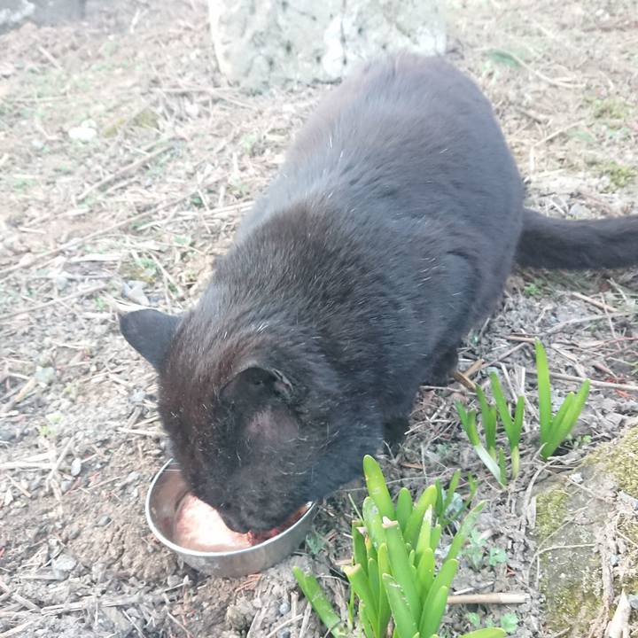 5f417c59 b019 4803 a04f e58e5d1db64d 1649802094046