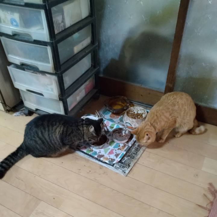 5f4185cb b465 4c3e 81be 126aef07e24b 1667948179315