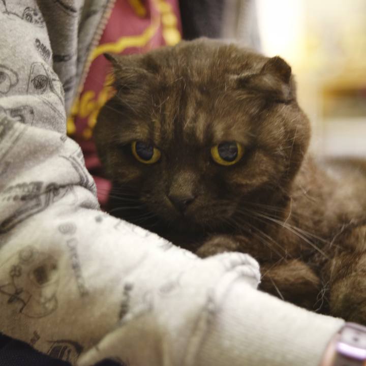 5f41a175 9418 4a0d b325 cfe3327cc761 1617295493458