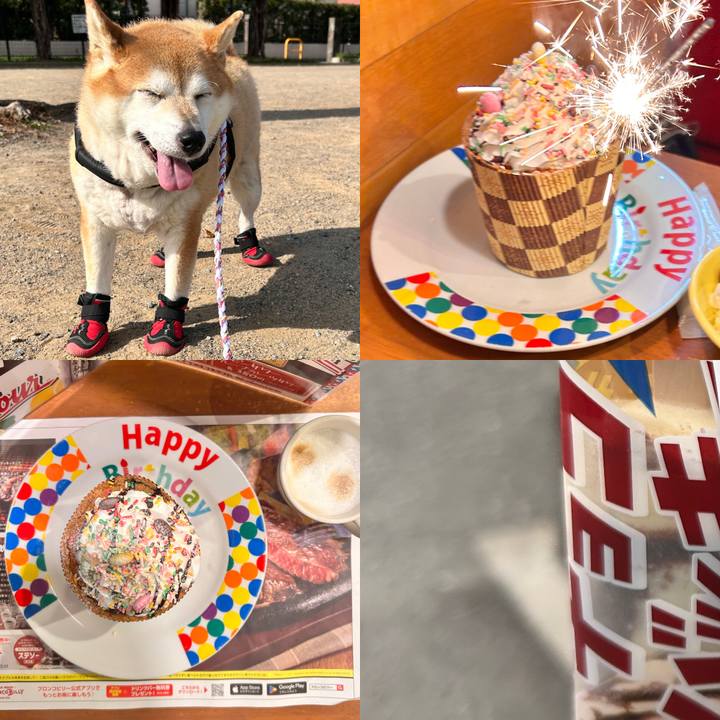 5f420436 e198 41b5 99c6 685fd89284ef 1730028205548