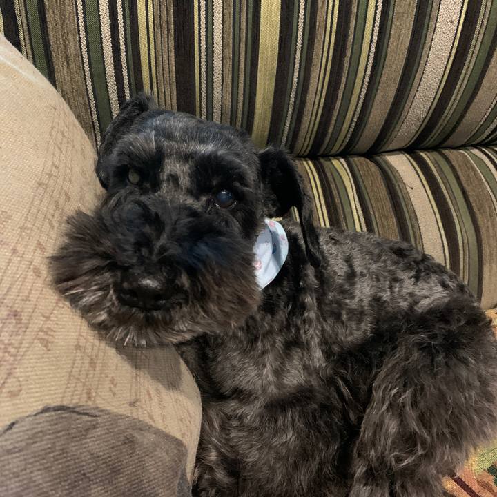 5f4208e1 241a 4ae6 878e 3b2cffe14885 1618628004294