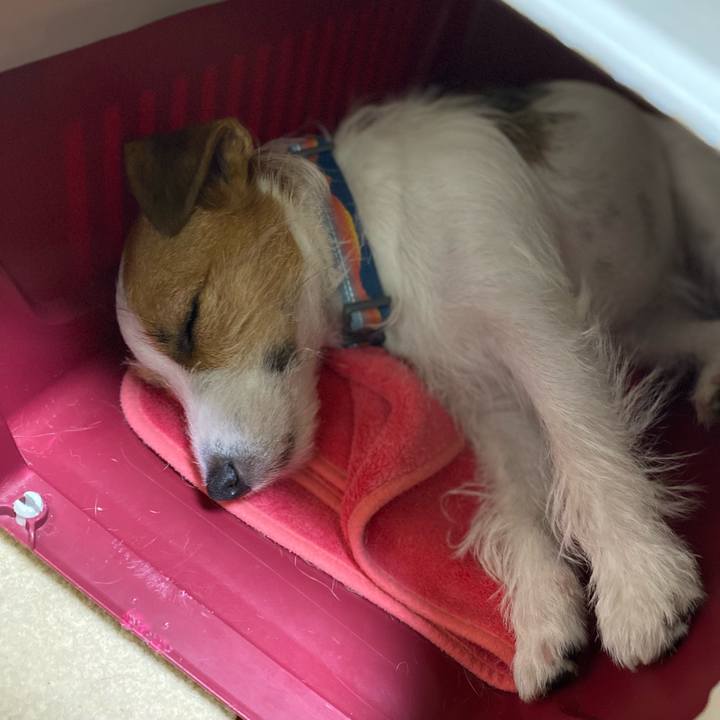 5f421c1a a56d 4607 bf90 90259ad6c204 1697809987775