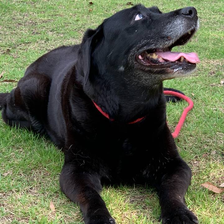 5f429faa 6d04 416c bbb3 1ac2f2bdb67f 1562393505072