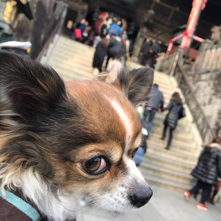 5f42b47e a771 4098 a164 fa7c73ebaacd 1546778771762