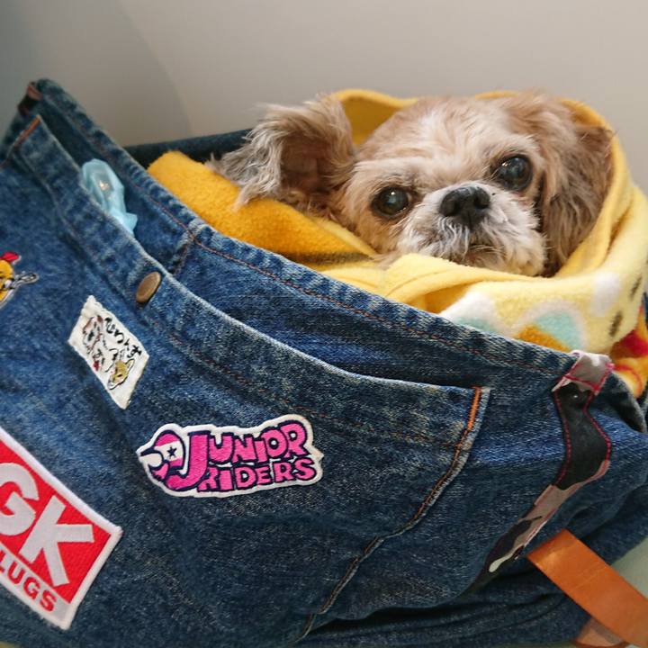 5f42eab1 2d69 4a77 8ad3 d3eacec2e58a 1520736463653