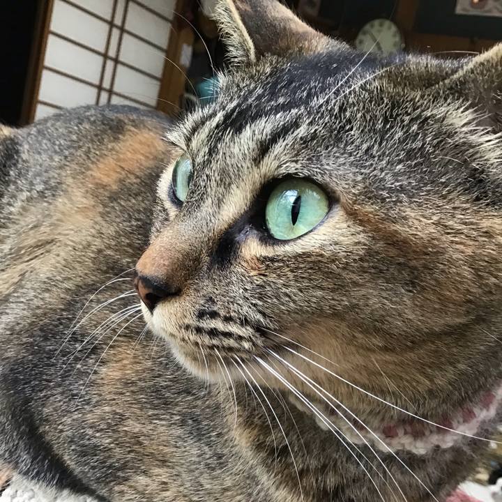 5f440ff6 163d 4875 a203 a7ec24c9a52e 1653468766379