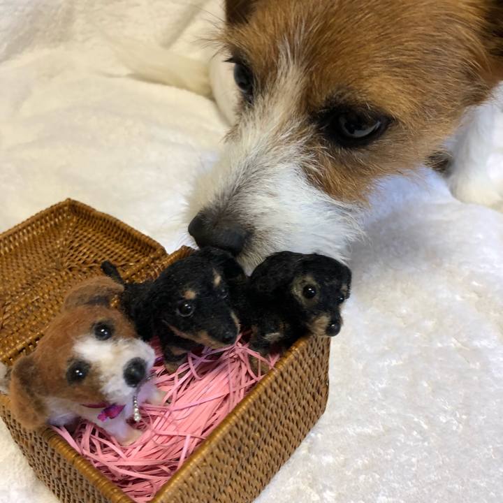 5f441438 b8b7 491f 8481 2686c8f5f9d0 1530326293713