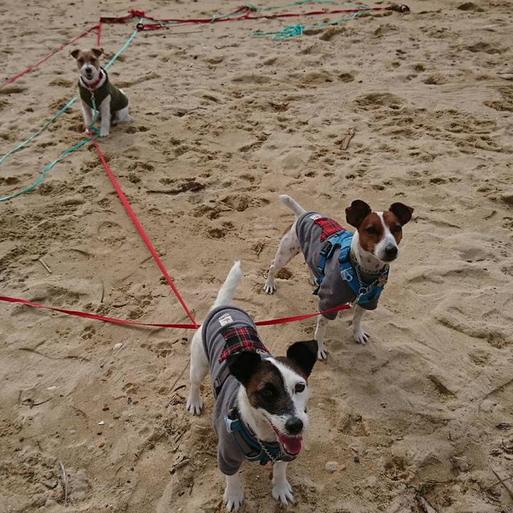 5f441645 85b1 4b9f 9c86 11c879c96494 1606105040649