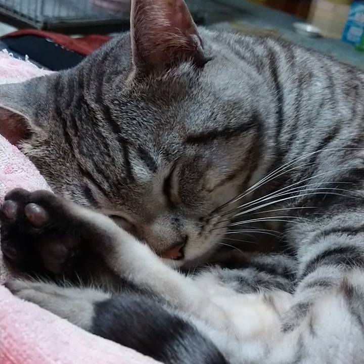 5f44275d 54c5 4586 bf00 ac5b7d2253f6 1677496006404