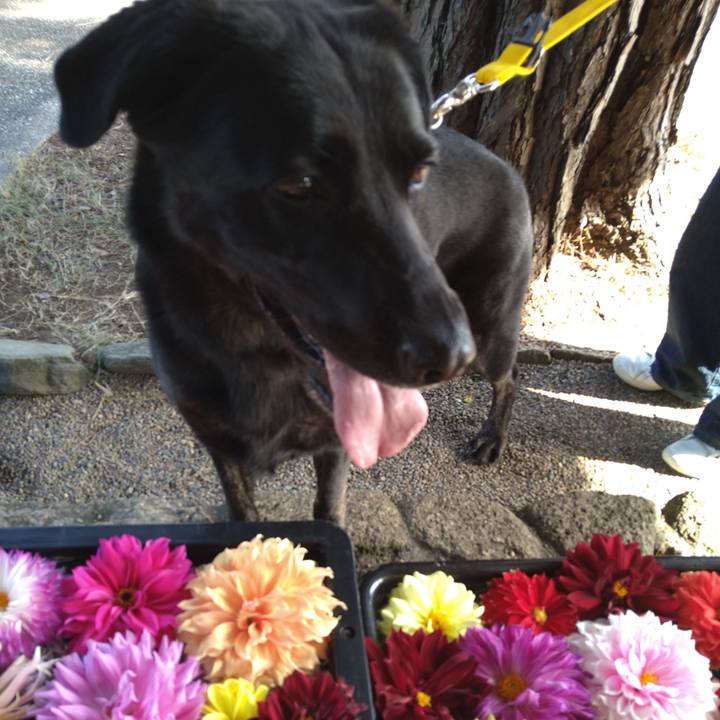 5f44367a fa08 4262 8fec e2591d2712c7 1604197933901