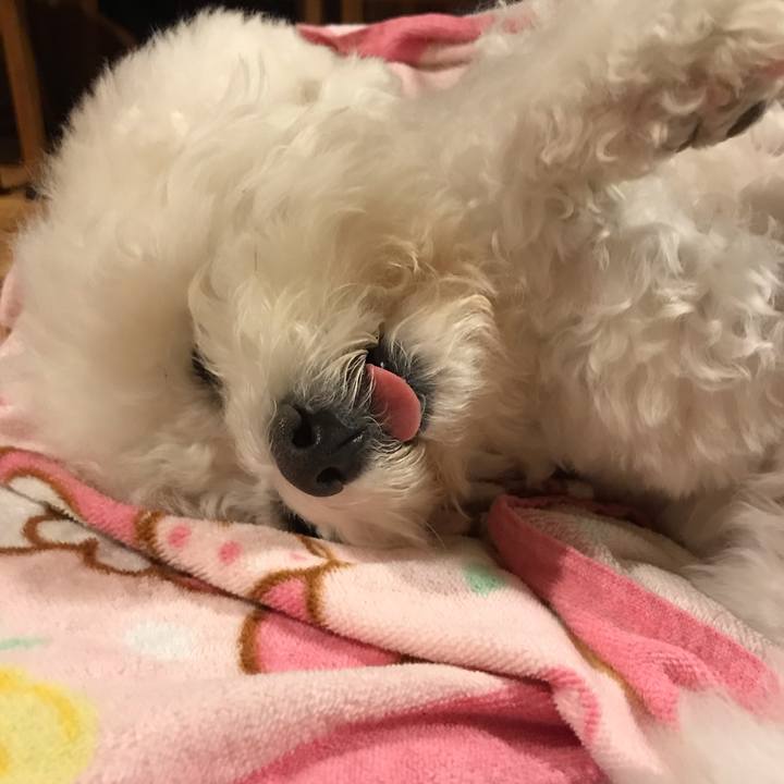 5f444750 3bd7 4709 a865 0335cb5f4fe2 1581427619137