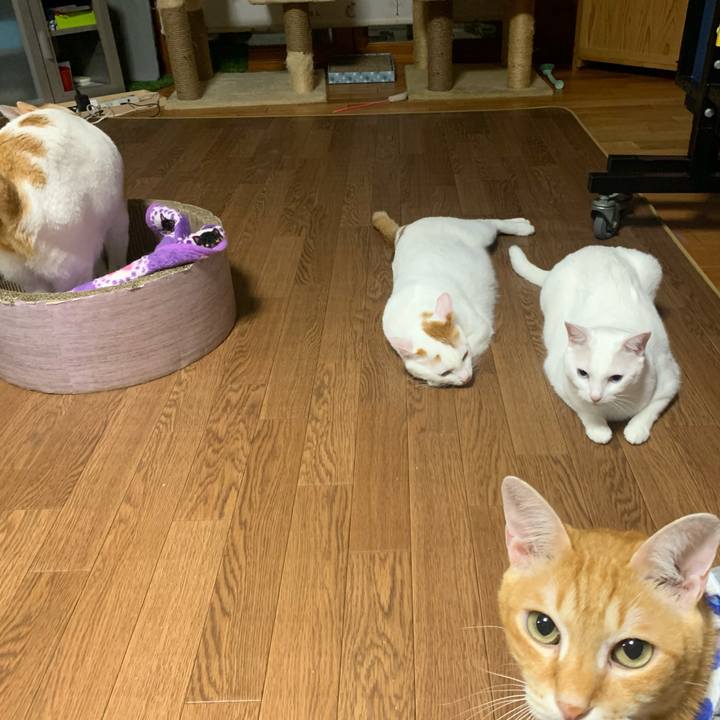 5f445a56 97c4 4d26 af06 f686d234ec1b 1573624200918