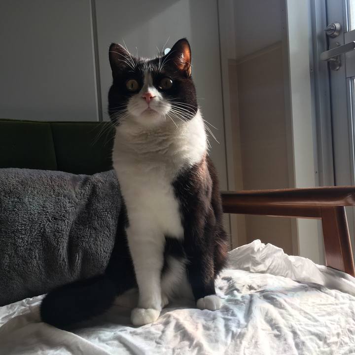 5f445ea2 05e2 4292 b64a 28cf3034b50d 1558175622522