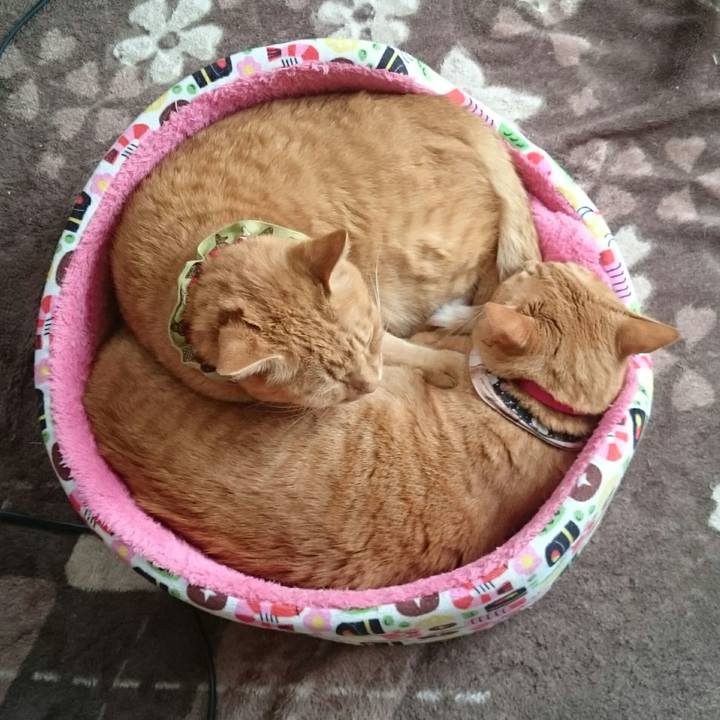 5f445ef0 7b9a 4373 b670 34980e9e6019 1509167843277