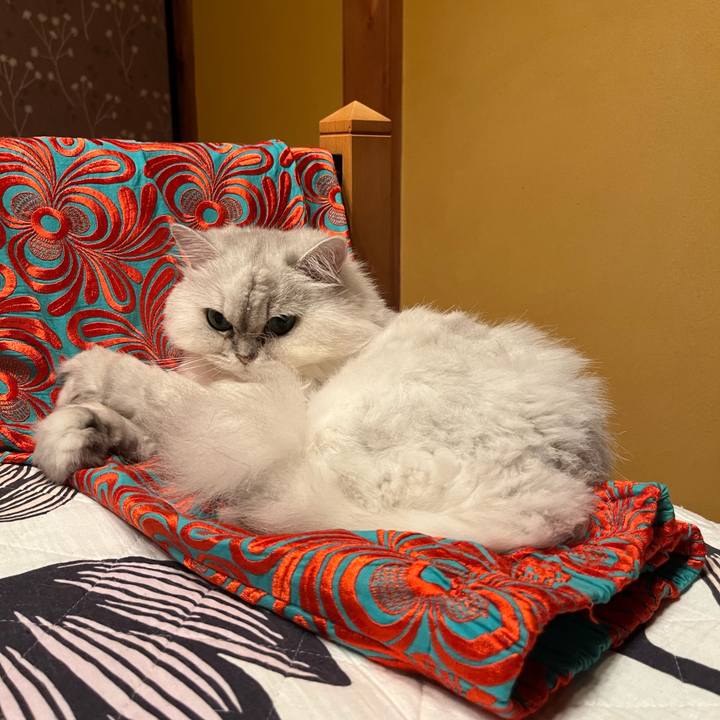 5f446cc7 ee32 49b3 9b78 9b6e2f805a54 1721775734236