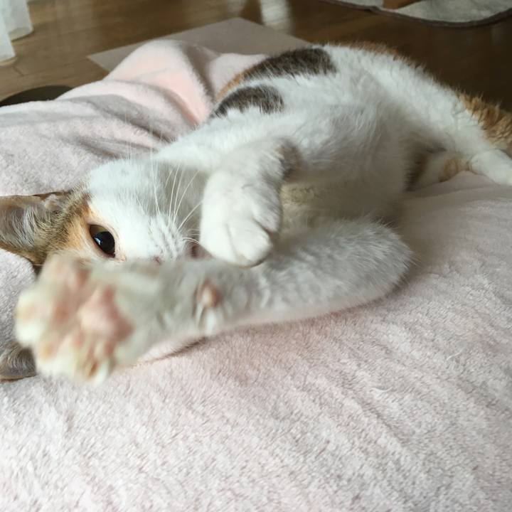 5f44881a 645f 4dbb 877d 7fdfedd34aac 1563332743140