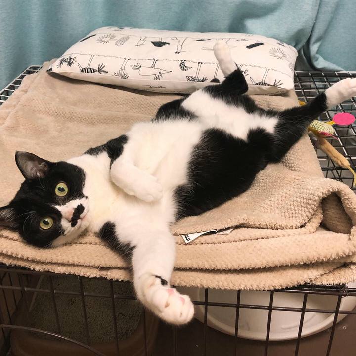 5f44949f cdf2 4d99 aa1e 120972f78f45 1618319730954