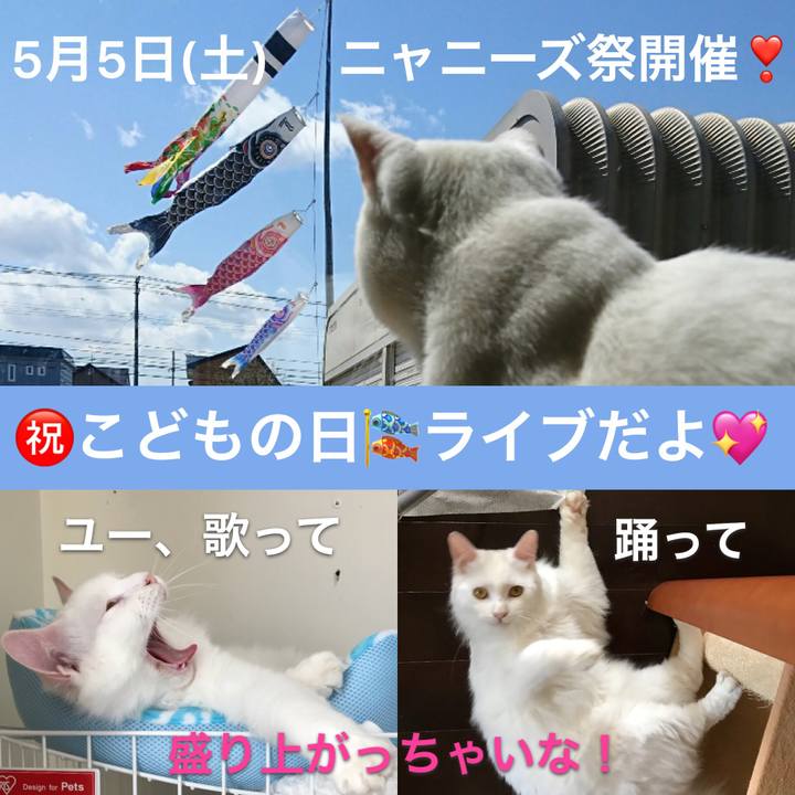 5f44ba2e 4527 422a 83a3 fe468e3bc9d2 1524976140357