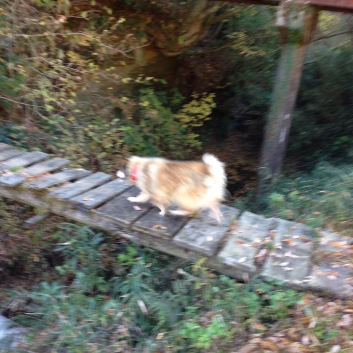 5f45047b 395c 46f5 9733 5b98c68ea248 1551227556186