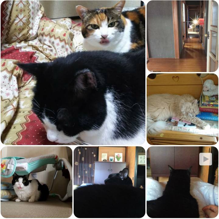 5f451018 3214 45e2 b7d3 c621dde568e3 1568543313278