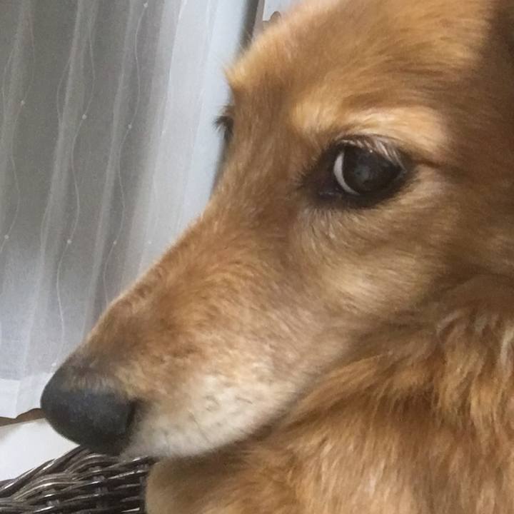 5f451f4f 88cc 4002 a6e6 70050af7afa2 1610192681611