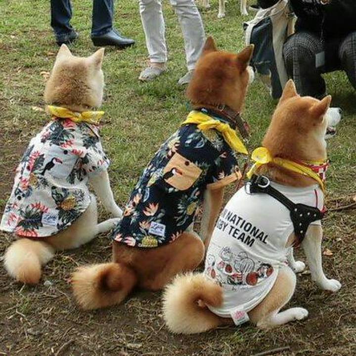 5f454568 d3c3 4b6b 8e03 17deffccec80 1569836565476