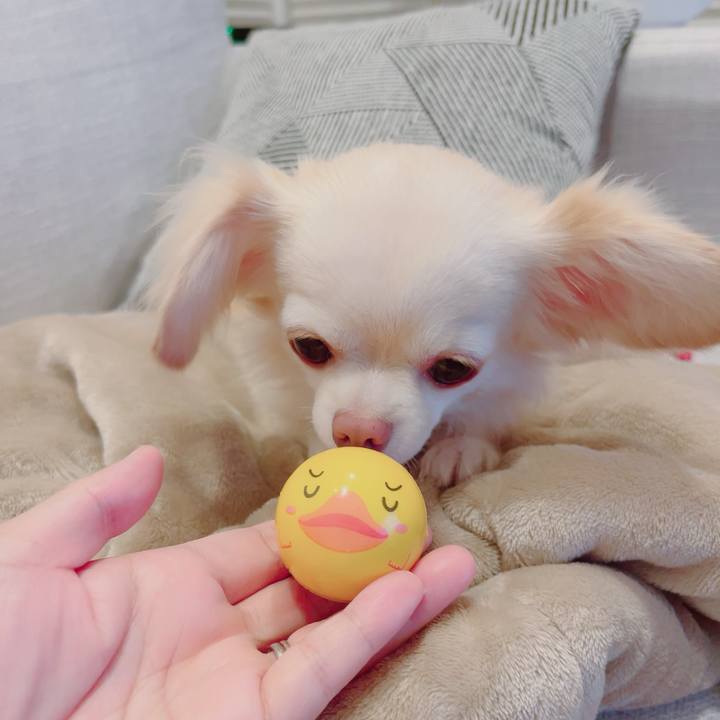 5f454dec 7fe1 4771 83d0 7be7a4163bfe 1692190887601