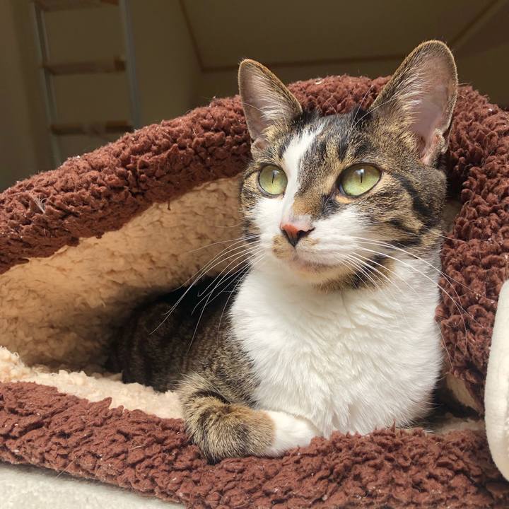 5f456466 4ca4 467c 926b a591cde3b229 1648309170688