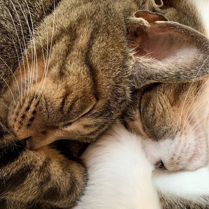 5f458120 93bb 410c a685 76d089f323f1 1587433866787