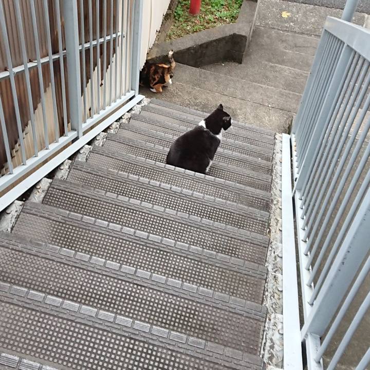 5f461e51 958a 4d11 b4e2 656b15640eab 1604013411785