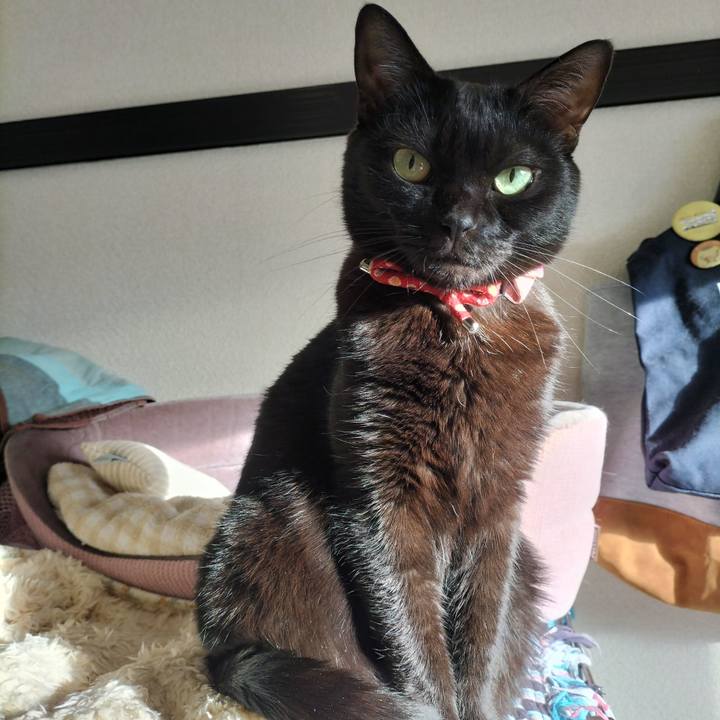 5f466352 1f52 411f ab35 7a927134b56f 1636583709668