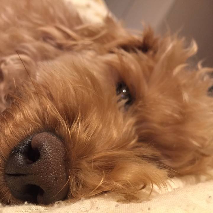 5f4672d3 e8f7 4880 b4dc 96f1e7ea8f9b 1523624108003