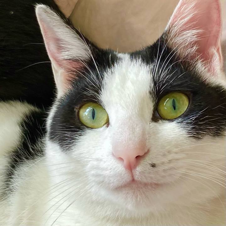 5f468680 9199 4e2c a398 c84a2b9619c5 1670474136410