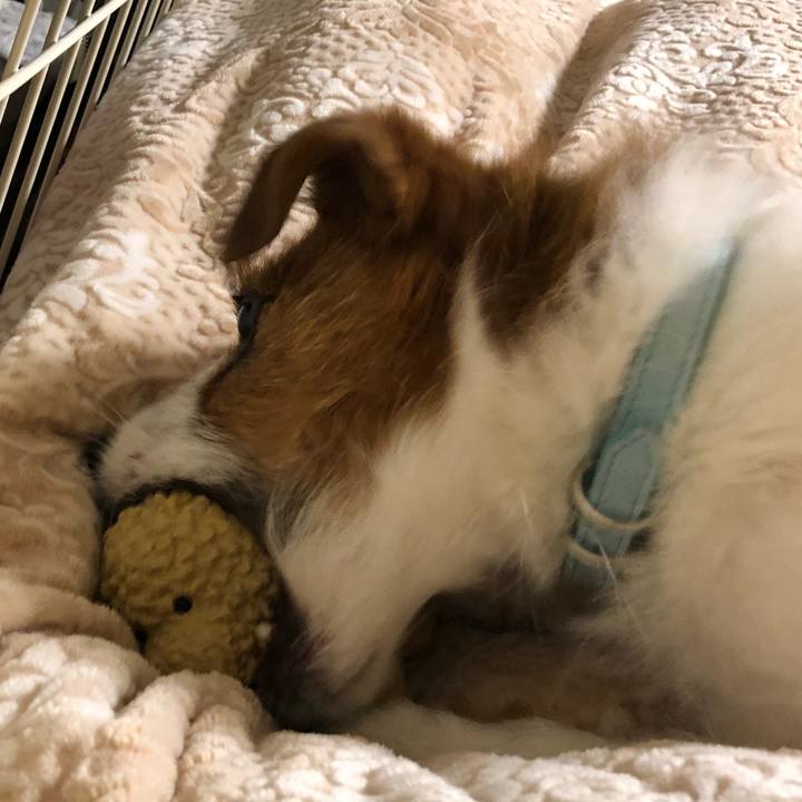 5f4698d8 5f38 407e 8688 075fa80ff9d6 1521120260069