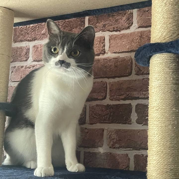 5f469a71 d698 4762 b1e3 afc5ff5296b4 1627031102580